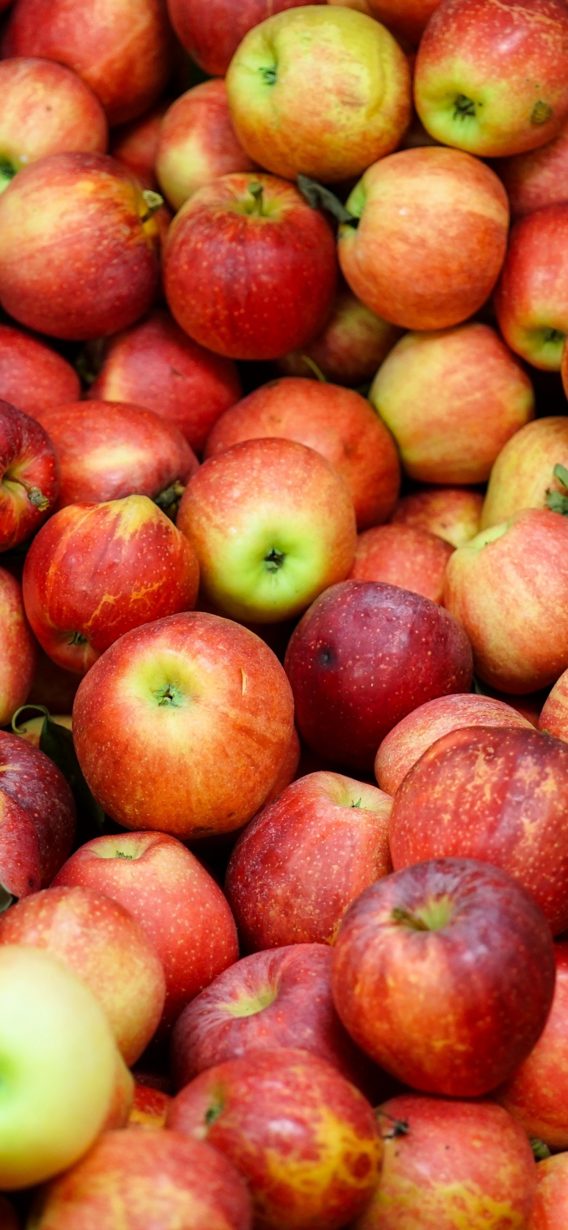 Apples, Fruit, Food, Green, Natural Foods. Wallpaper in 1125x2436 Resolution