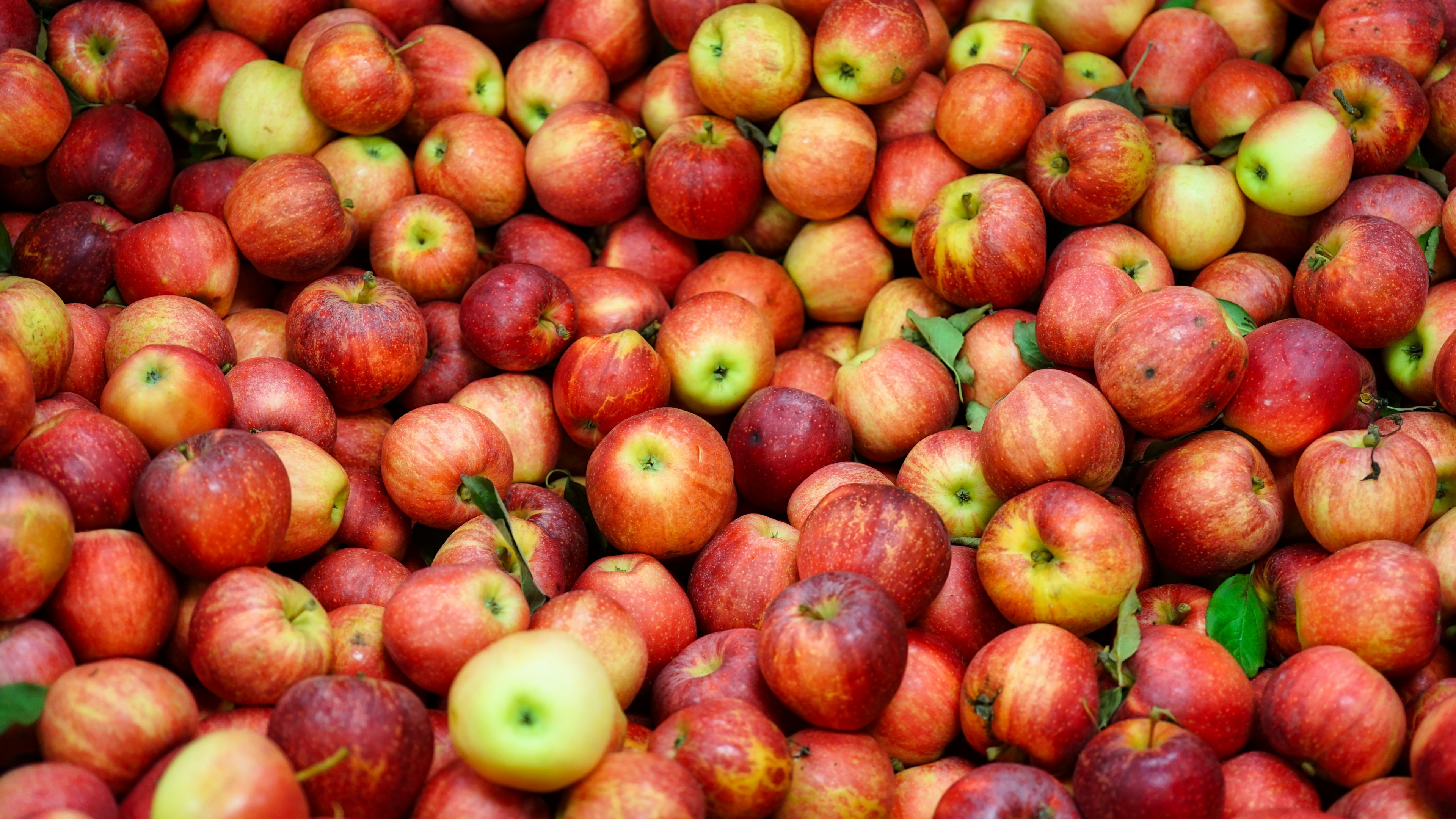 Apples, Fruit, Food, Green, Natural Foods. Wallpaper in 3840x2160 Resolution