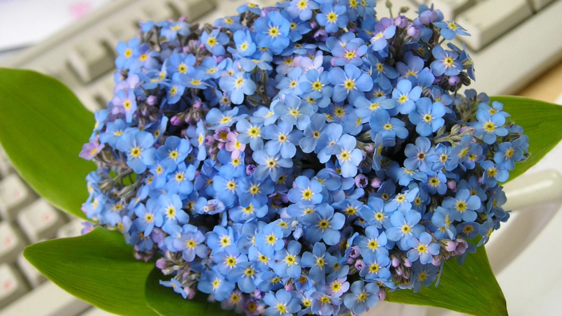 Blue and White Flower Bouquet. Wallpaper in 1920x1080 Resolution