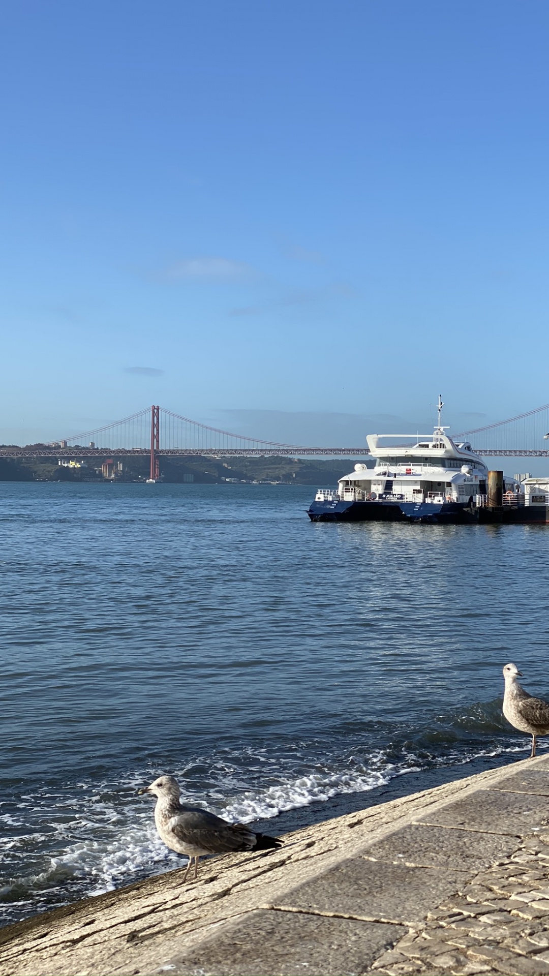 Sea, Ferry, Water, Passenger Ship, Ship. Wallpaper in 1080x1920 Resolution
