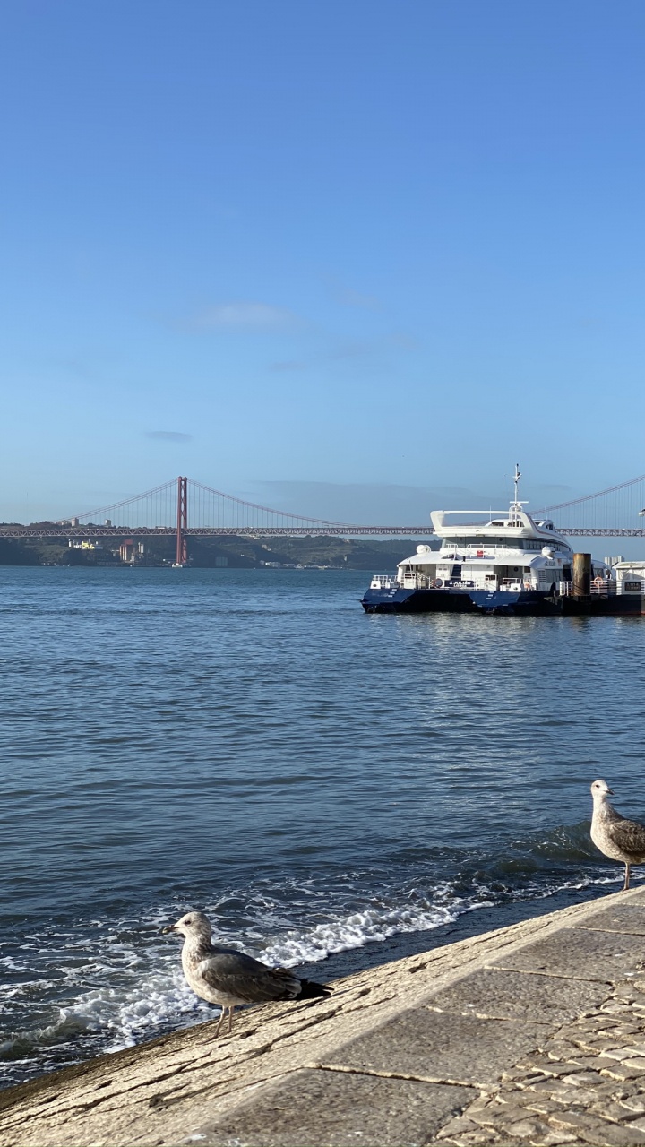 Sea, Ferry, Water, Passenger Ship, Ship. Wallpaper in 720x1280 Resolution