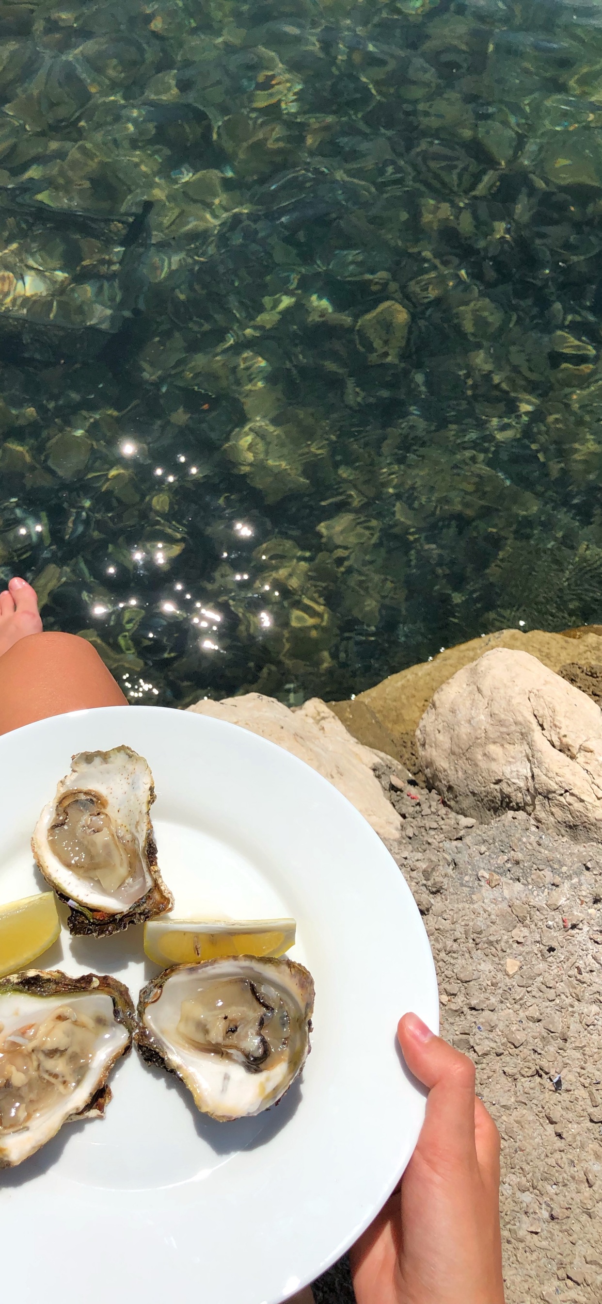 Ostra, Mejillón, Marisco, Almeja, Cuerpo de Agua. Wallpaper in 1242x2688 Resolution