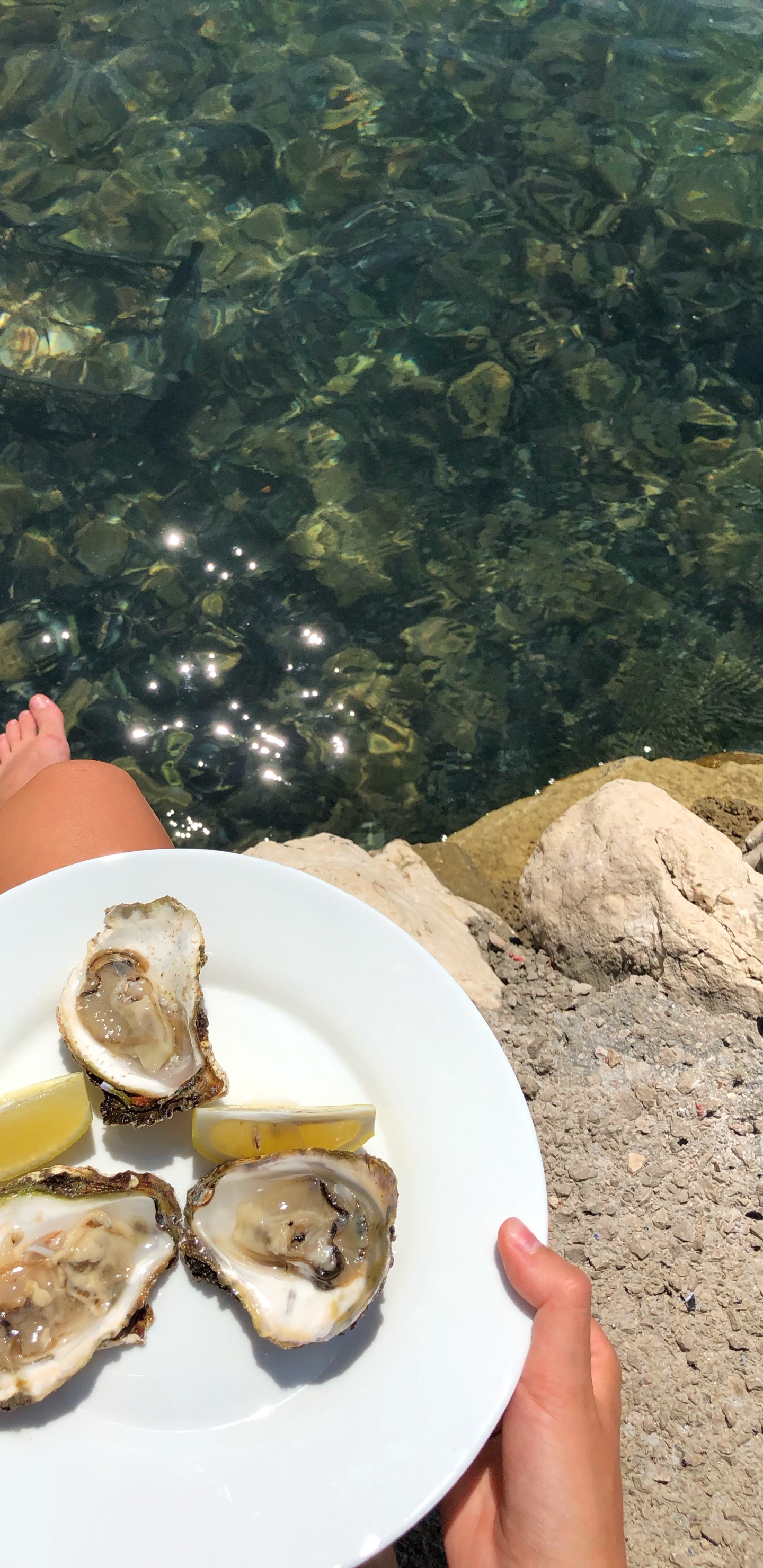 Ostra, Mejillón, Marisco, Almeja, Cuerpo de Agua. Wallpaper in 1440x2960 Resolution