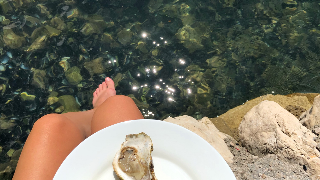 Oyster, Mussel, Seafood, Clam, Eyewear. Wallpaper in 1280x720 Resolution