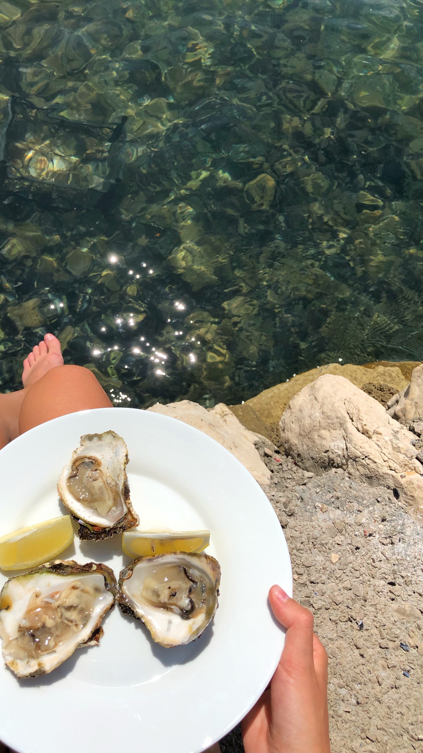 Oyster, Mussel, Seafood, Clam, Eyewear. Wallpaper in 1440x2560 Resolution