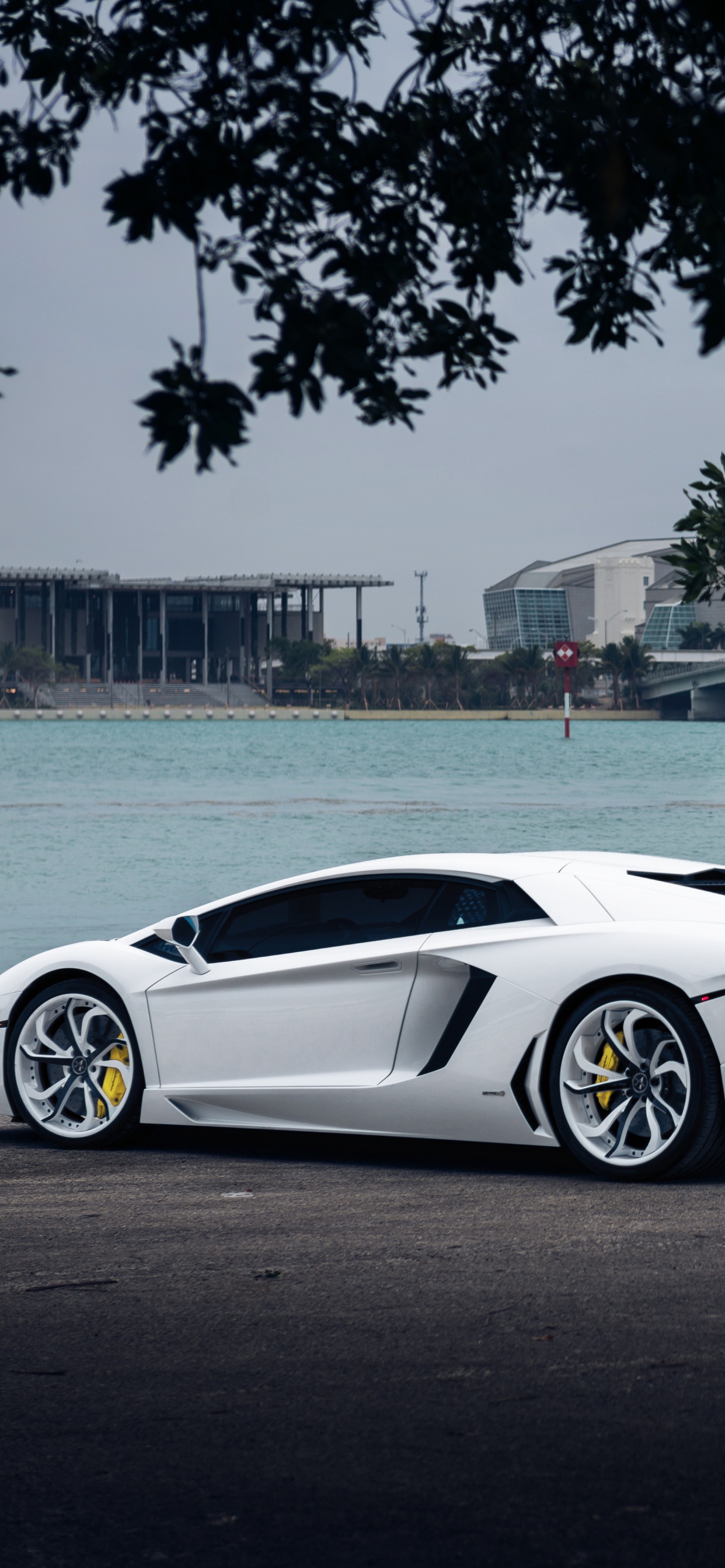 Weißer Porsche 911 Tagsüber in Der Nähe Eines Gewässers Geparkt. Wallpaper in 1242x2688 Resolution