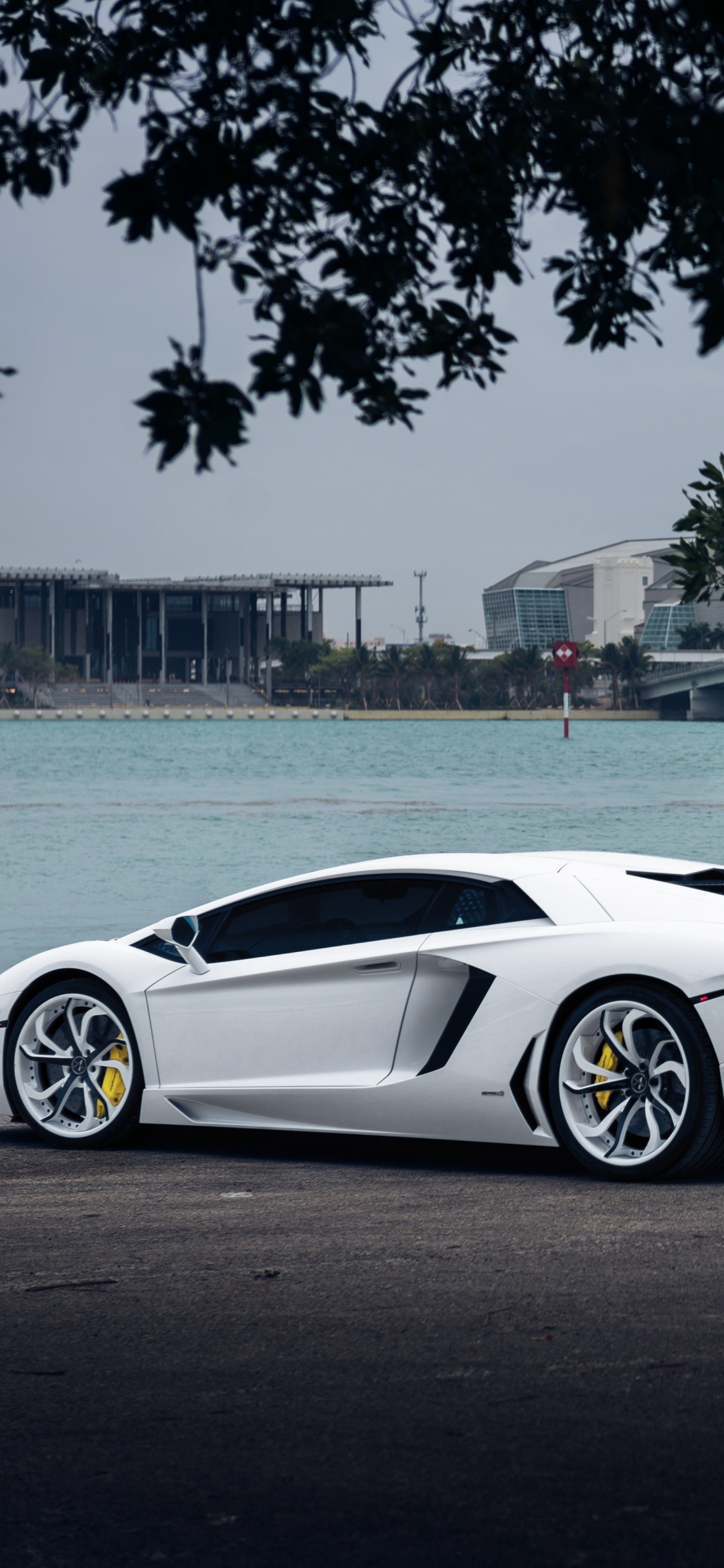 White Porsche 911 Parked Near Body of Water During Daytime. Wallpaper in 1125x2436 Resolution