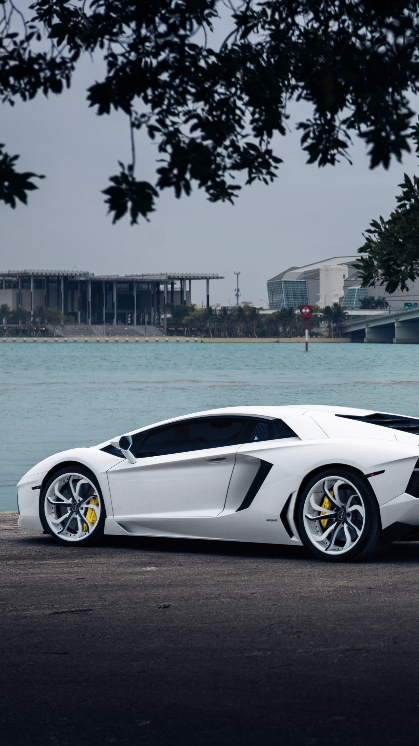 White Porsche 911 Parked Near Body of Water During Daytime. Wallpaper in 1440x2560 Resolution