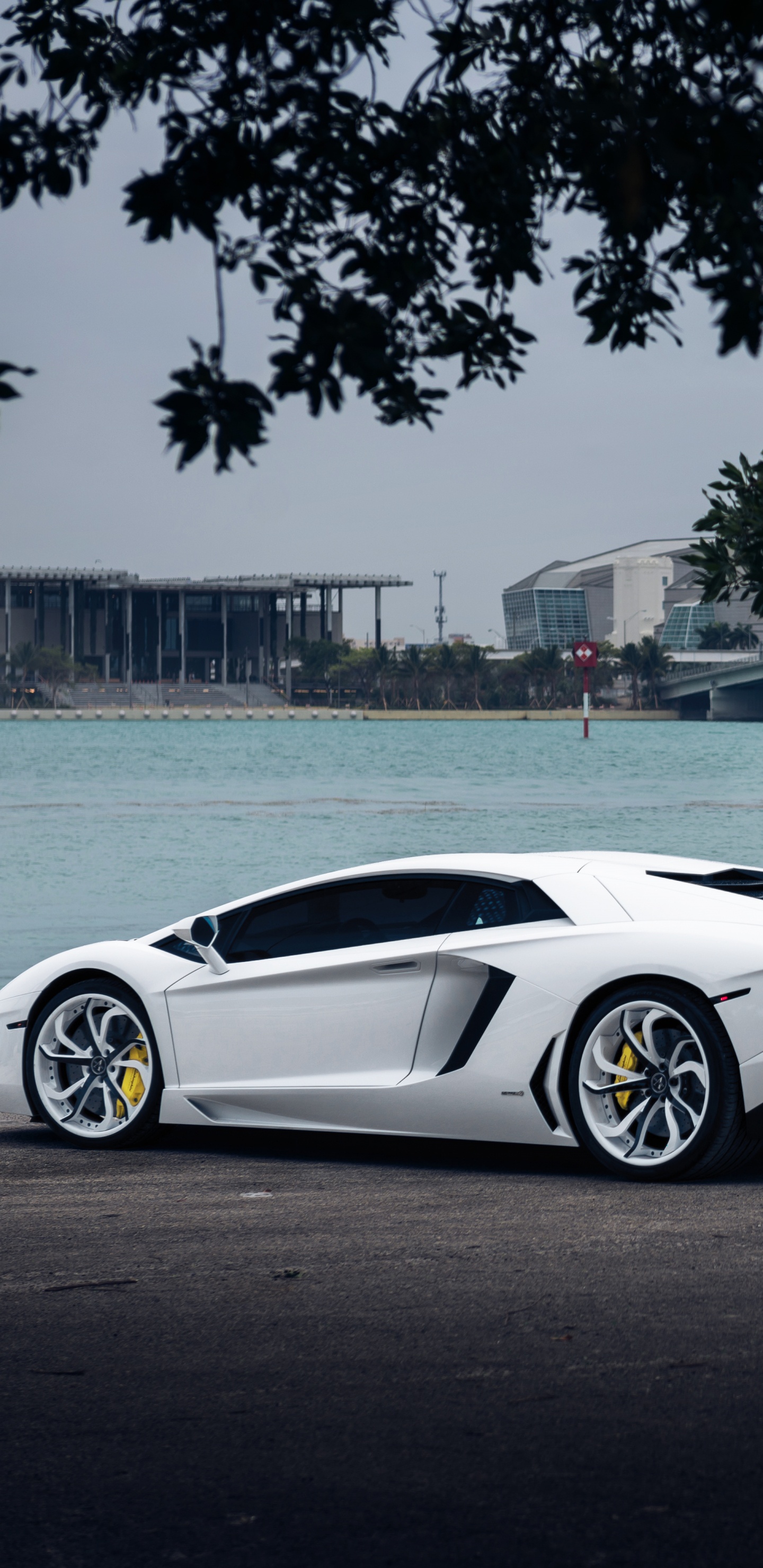 White Porsche 911 Parked Near Body of Water During Daytime. Wallpaper in 1440x2960 Resolution