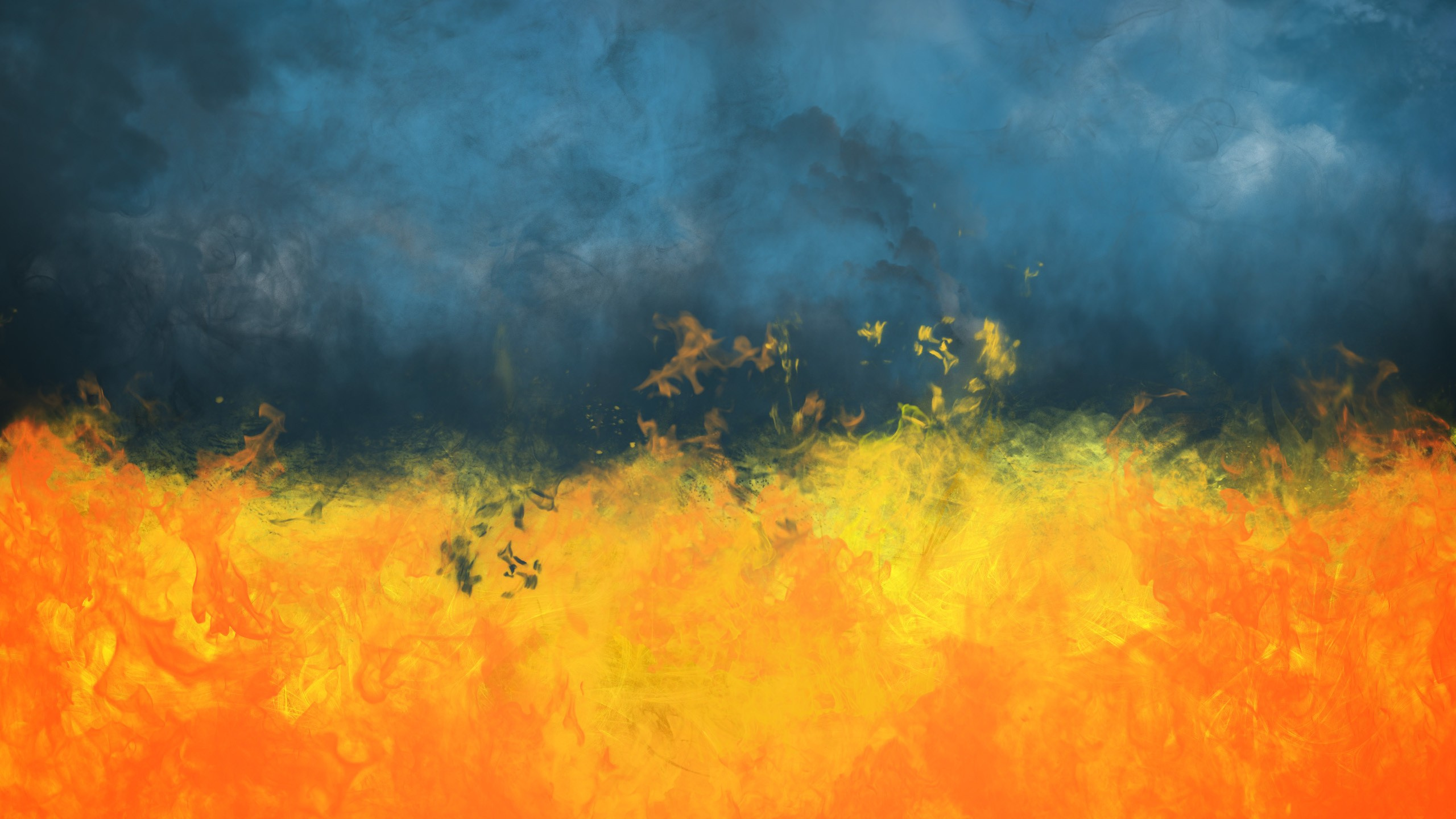 Gelber Und Blauer Rauch Auf Grüner Wiese. Wallpaper in 2560x1440 Resolution