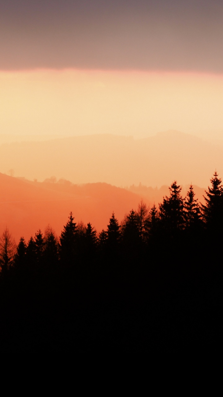 Atmosphere, Ecoregion, Natural Landscape, Mountain, Branch. Wallpaper in 720x1280 Resolution