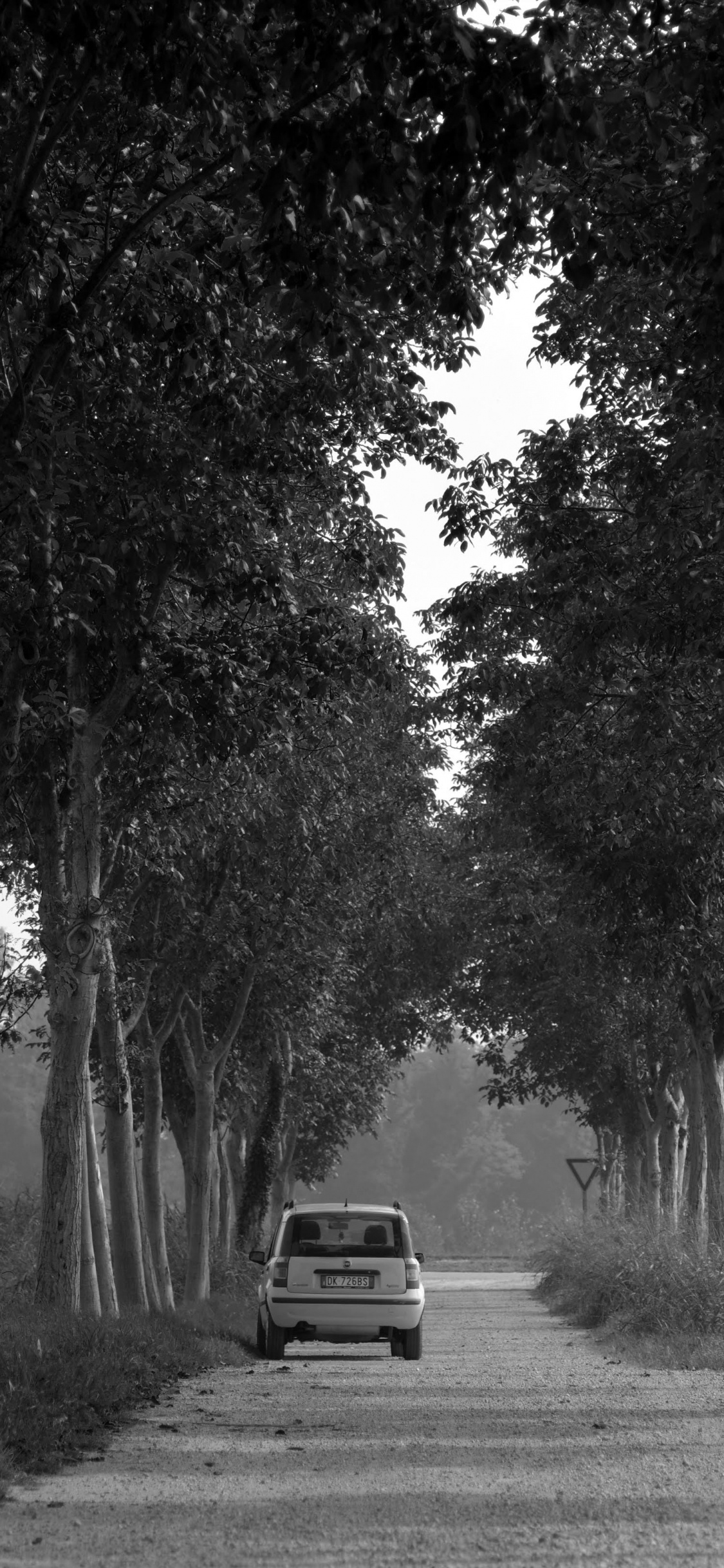 Grayscale Photo of Car on Road Between Trees. Wallpaper in 1125x2436 Resolution