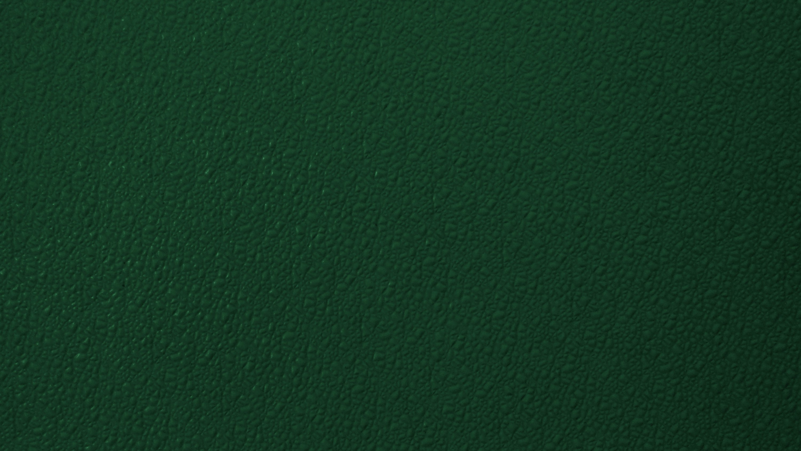 Textile Vert en Photographie Rapprochée. Wallpaper in 2560x1440 Resolution