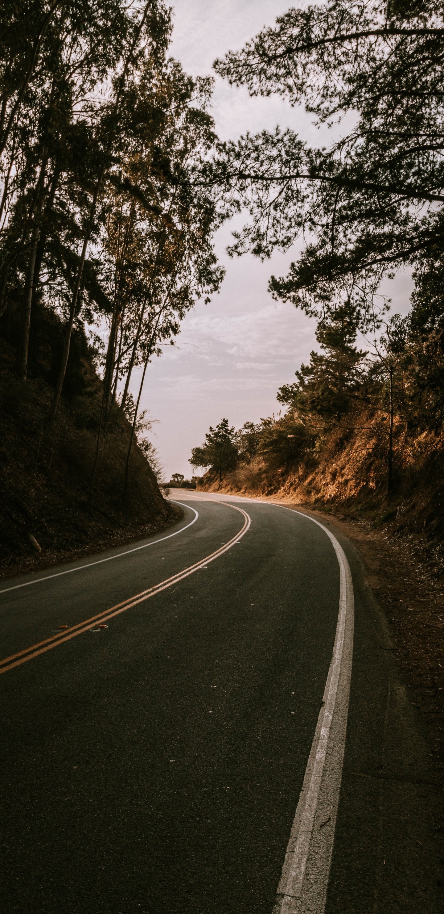 Carretera, Carril, Asfalto, Paisaje Natural, Infraestructura. Wallpaper in 1440x2960 Resolution
