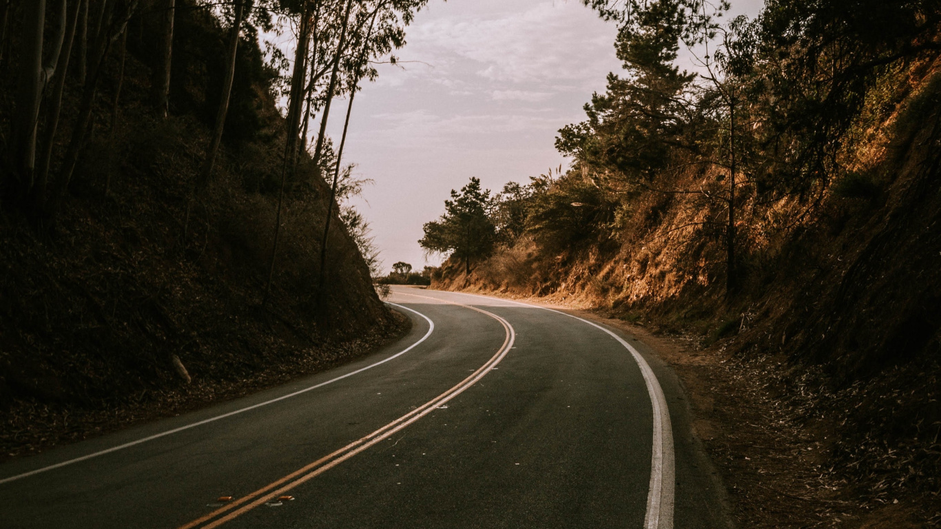 Road, Baum, Asphalt, Naturlandschaft, Infrastruktur. Wallpaper in 1366x768 Resolution
