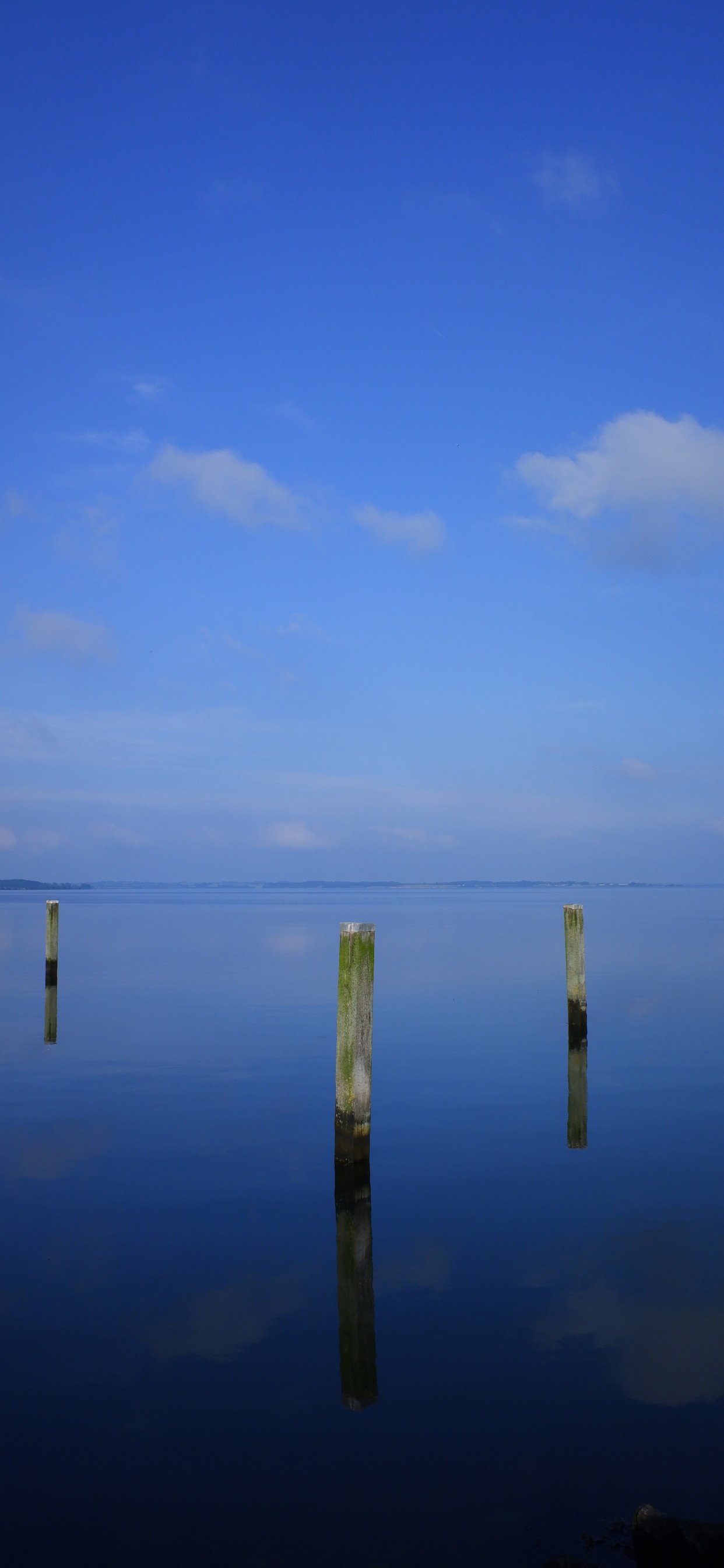 Brown Wooden Stick on Body of Water During Daytime. Wallpaper in 1242x2688 Resolution