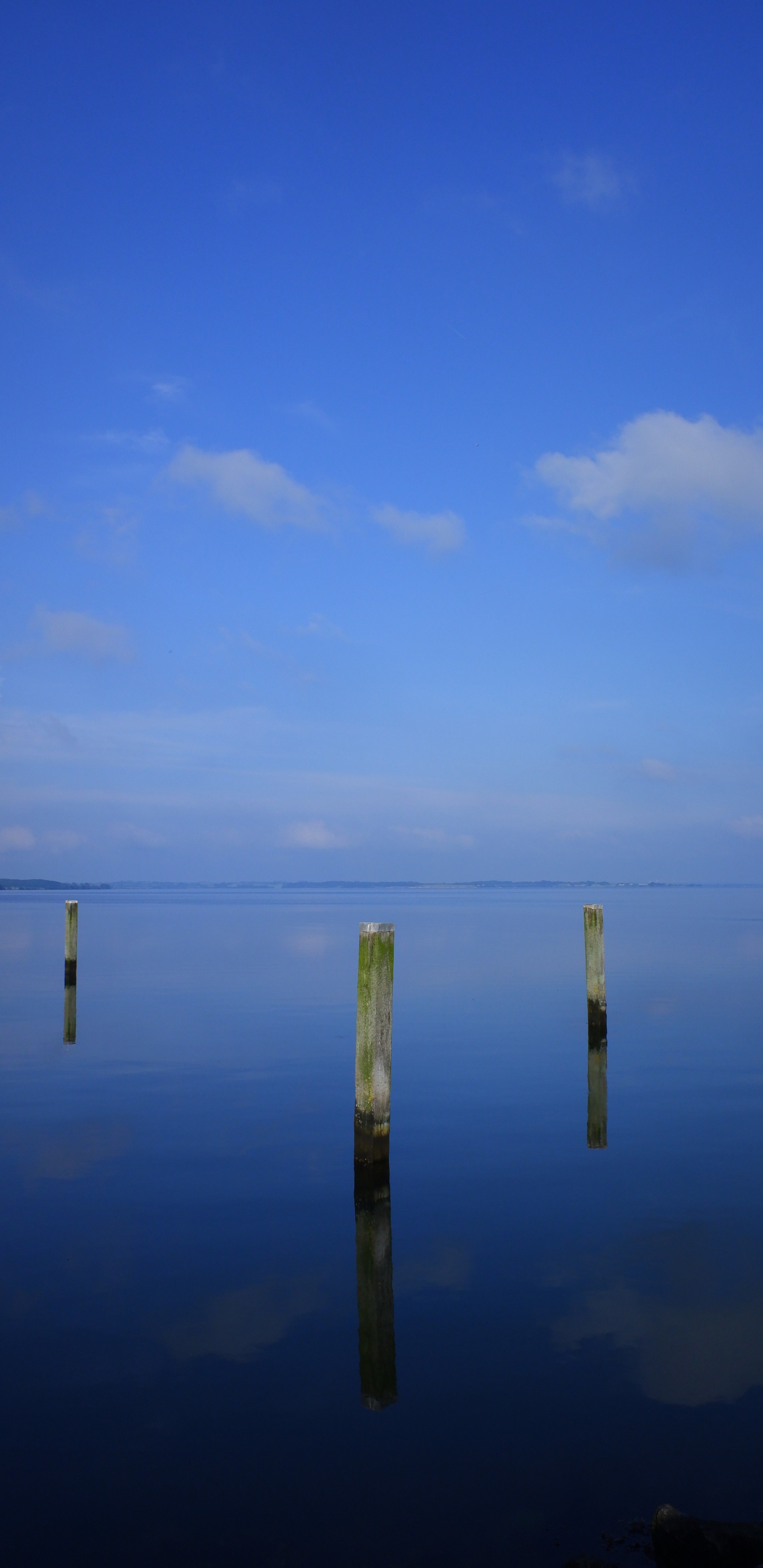 Brown Wooden Stick on Body of Water During Daytime. Wallpaper in 1440x2960 Resolution