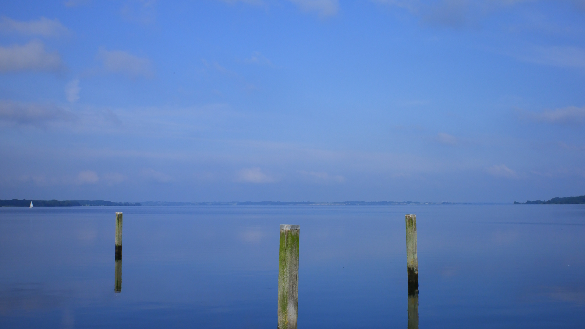Brown Wooden Stick on Body of Water During Daytime. Wallpaper in 1920x1080 Resolution