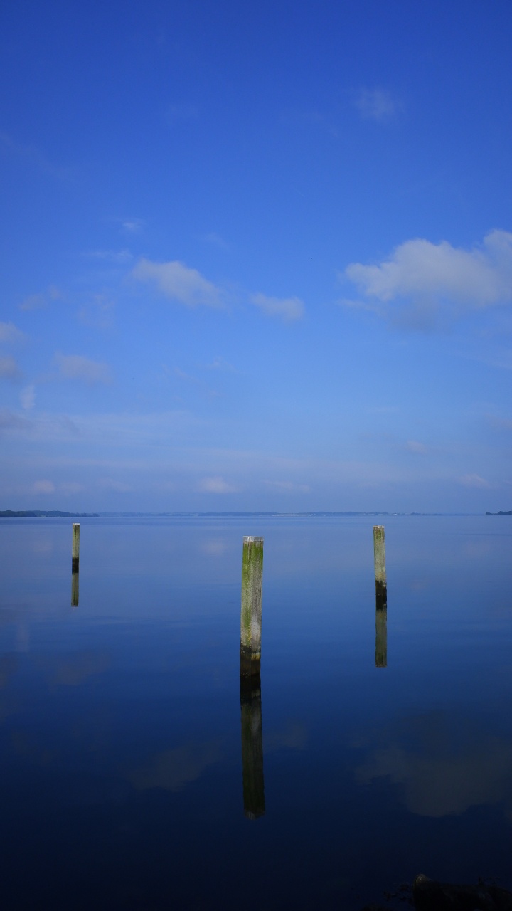 Brown Wooden Stick on Body of Water During Daytime. Wallpaper in 720x1280 Resolution