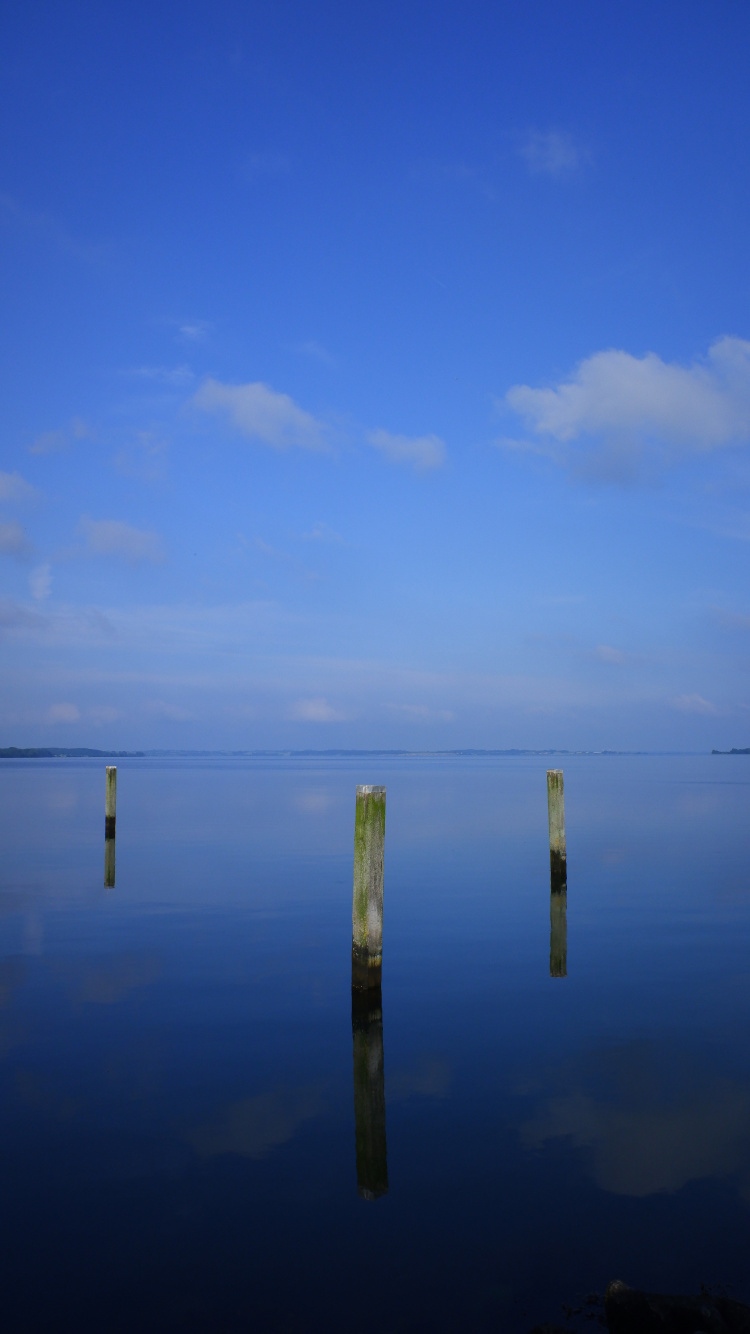 Brown Wooden Stick on Body of Water During Daytime. Wallpaper in 750x1334 Resolution
