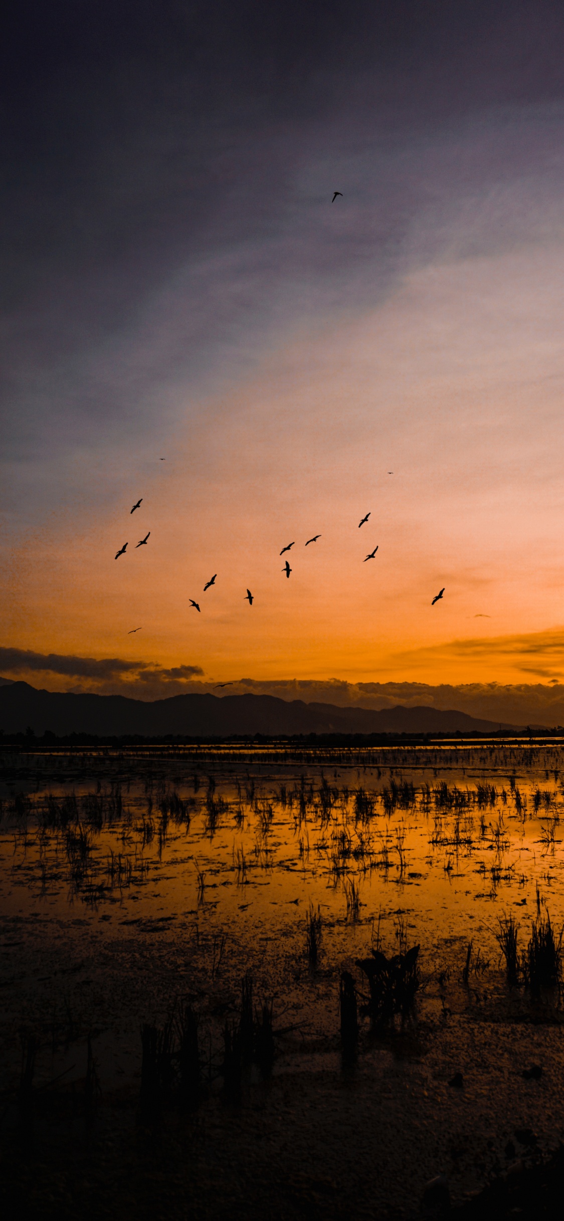 Wasser, Cloud, Horizont, Sonnenuntergang, Reflexion. Wallpaper in 1125x2436 Resolution