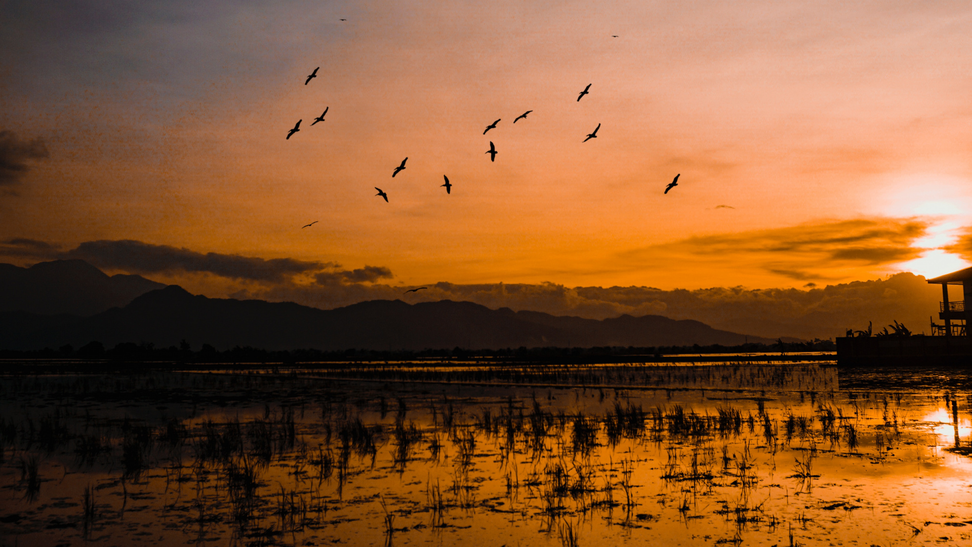 Wasser, Cloud, Horizont, Sonnenuntergang, Reflexion. Wallpaper in 1920x1080 Resolution