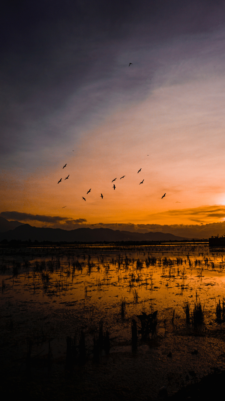 Water, Cloud, Horizon, Sunset, Reflection. Wallpaper in 750x1334 Resolution