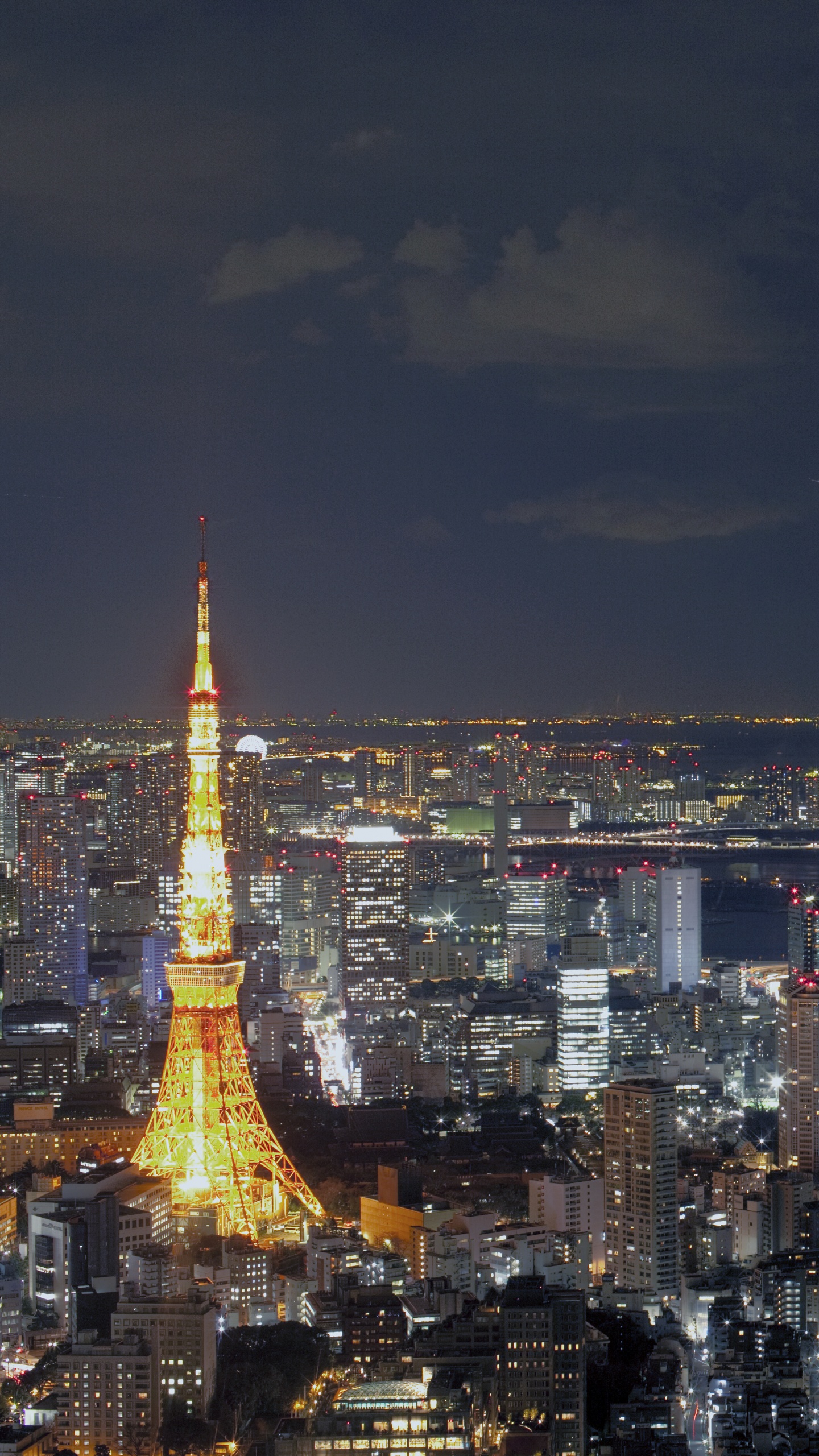 Vue Aérienne de la Ville Pendant la Nuit. Wallpaper in 1440x2560 Resolution