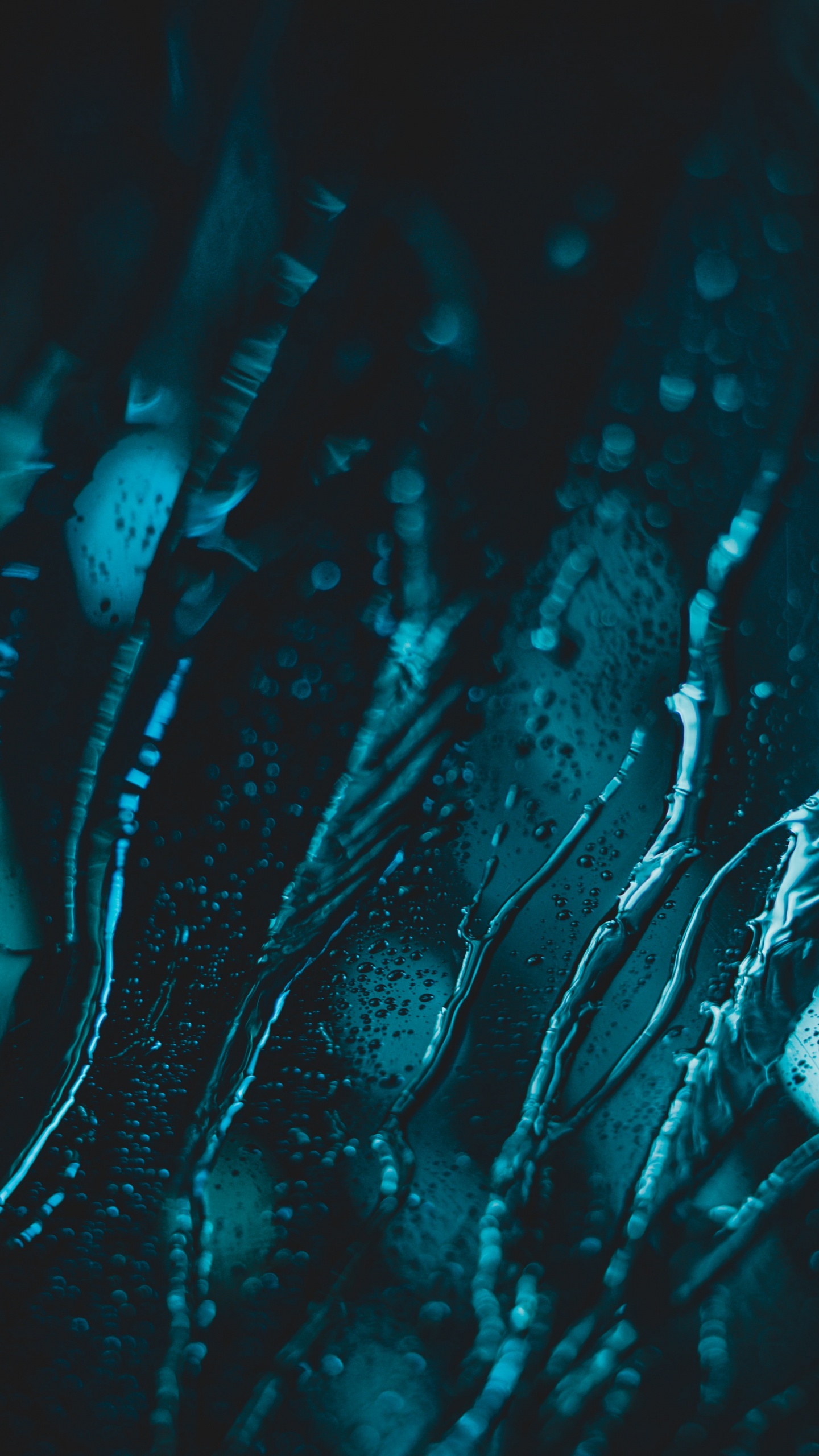 Wassertropfen Auf Blauem Hintergrund. Wallpaper in 1440x2560 Resolution