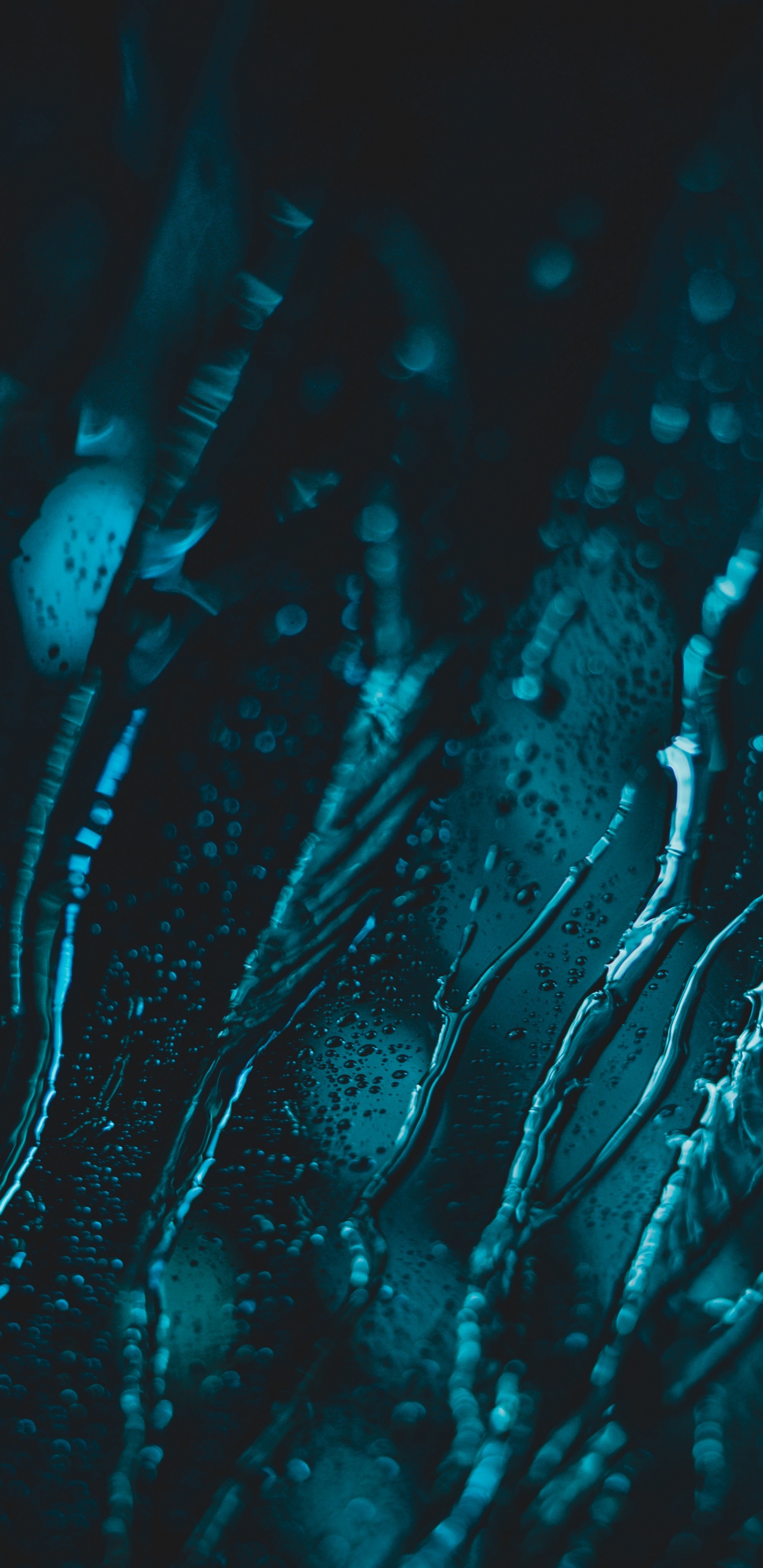 Wassertropfen Auf Blauem Hintergrund. Wallpaper in 1440x2960 Resolution