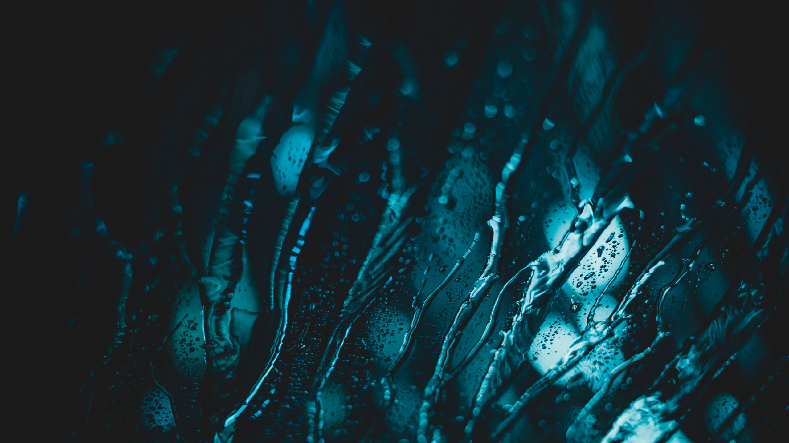 黑色的, 绿色的, 水上, 光, 电蓝色的 壁纸 2560x1440 允许