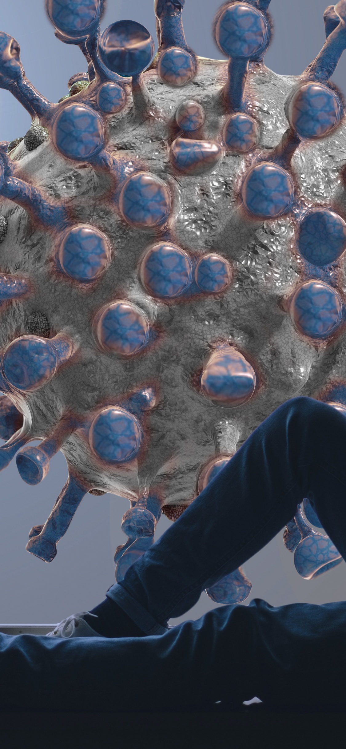 Virus, Coronavirus, COVID-19, Ausgangssperre, Pandemie. Wallpaper in 1125x2436 Resolution