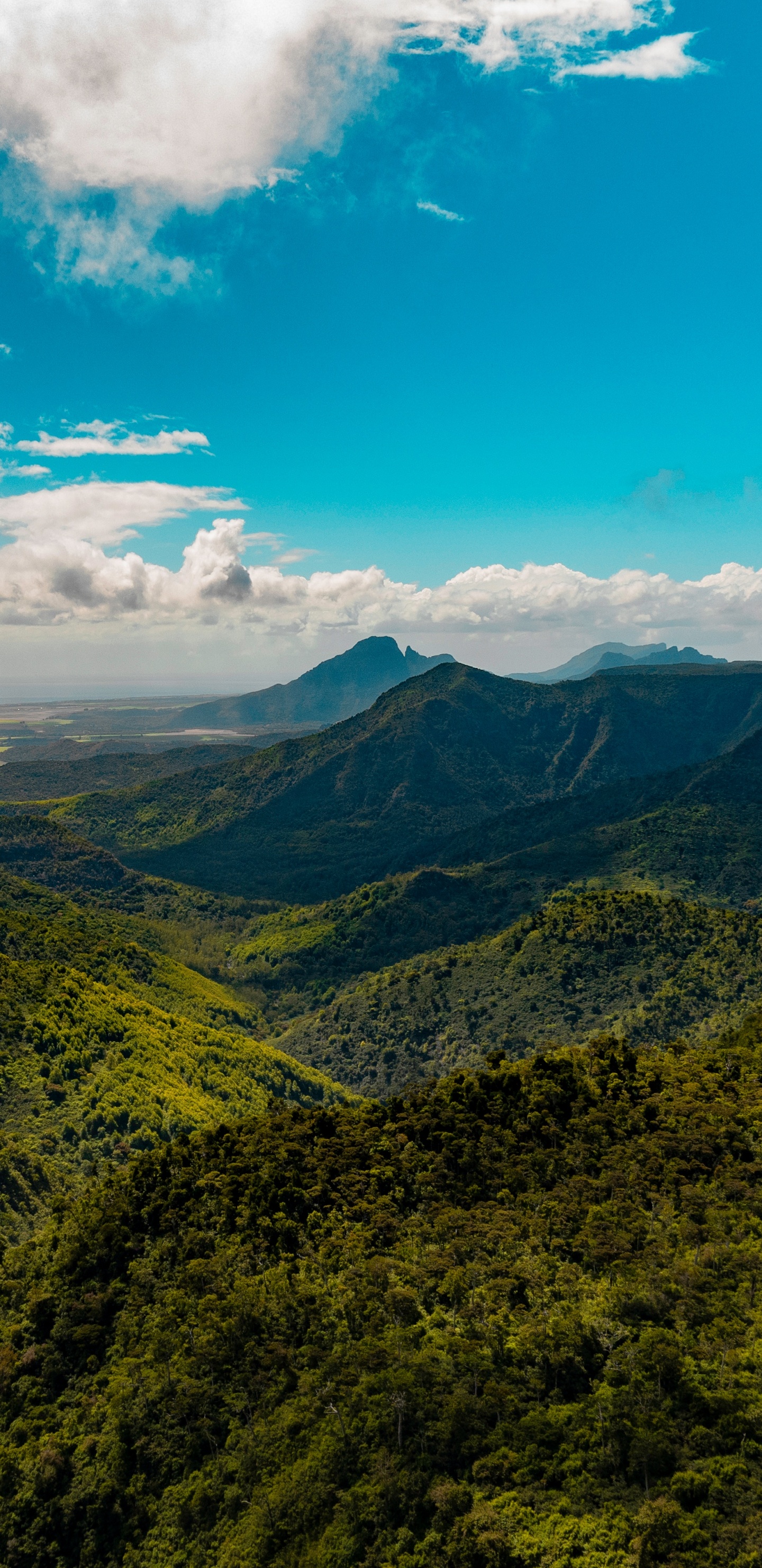 National Park, Mountainous Landforms, Mountain, Highland, Vegetation. Wallpaper in 1440x2960 Resolution