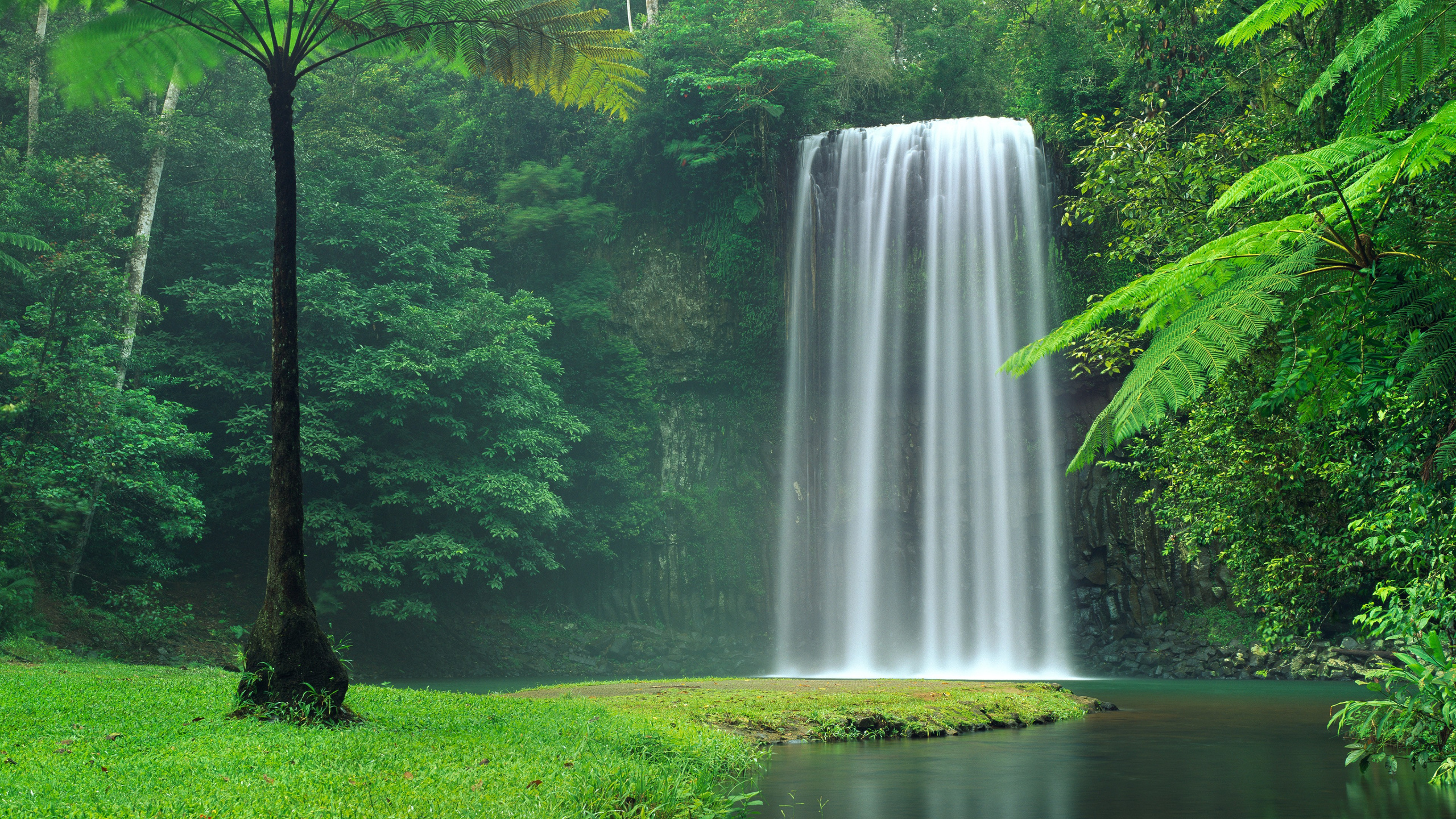 Plitvicer Seen National Park, Millaa Millaa Wasserfall, Yosemite Falls, Galovac, Wasserfall. Wallpaper in 2560x1440 Resolution