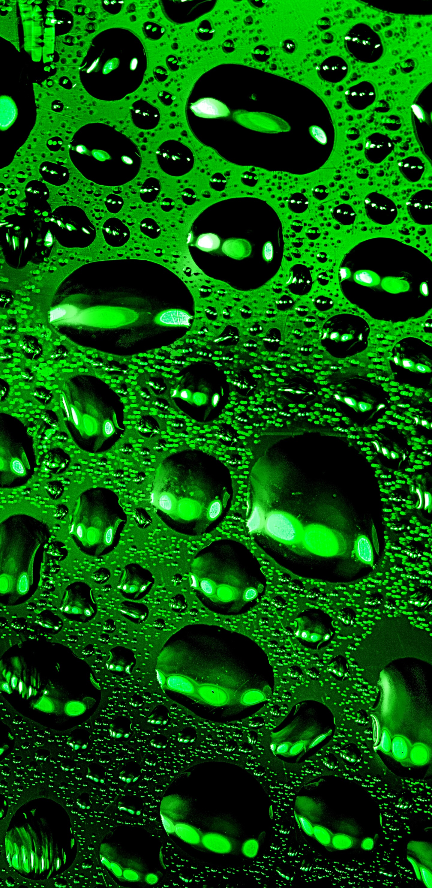 绿色的, 放下, 湿气, 表面 壁纸 1440x2960 允许