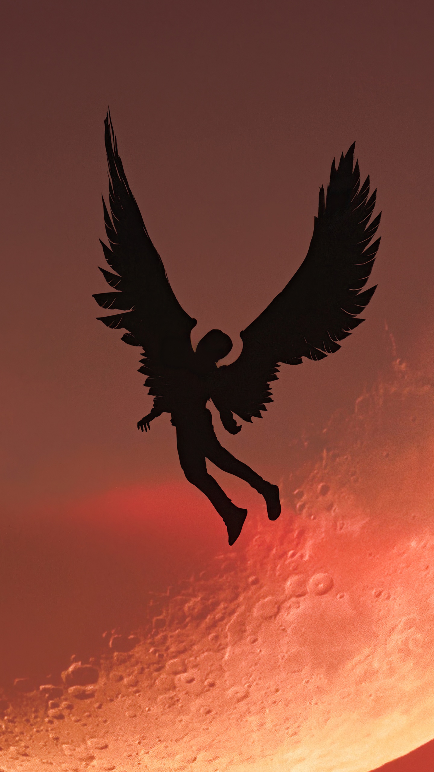 Atmosphäre, Mond, Schnabel, Vogel, Kunst. Wallpaper in 1440x2560 Resolution