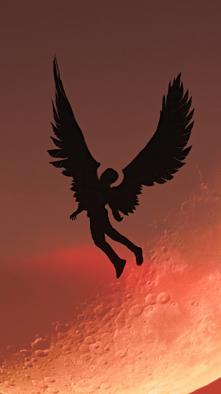 Atmosphere, Moon, Beak, Bird, Art. Wallpaper in 750x1334 Resolution