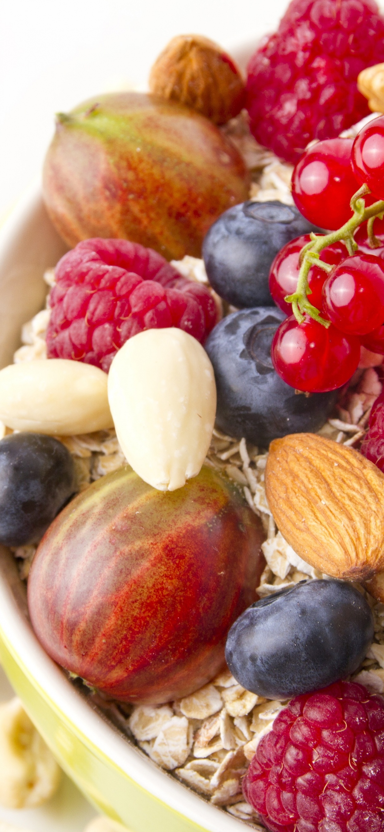 Bayas Rojas y Negras en Cuenco de Cerámica Blanca. Wallpaper in 1242x2688 Resolution