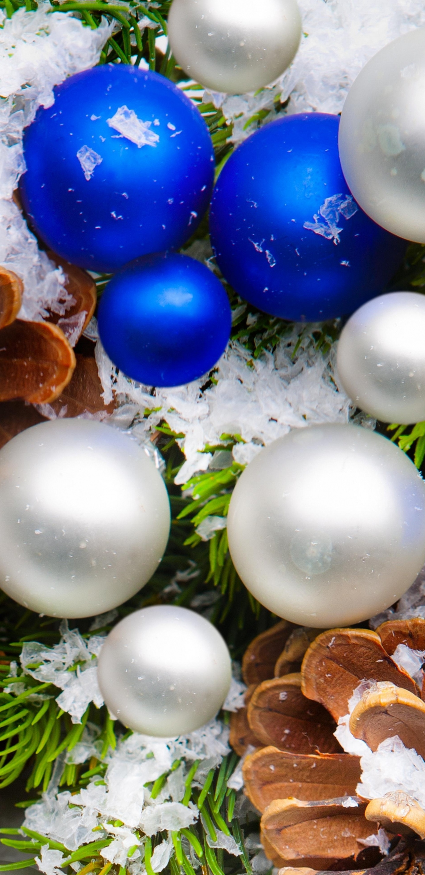 New Year, Christmas Decoration, Christmas Ornament, Tree, Christmas Day. Wallpaper in 1440x2960 Resolution