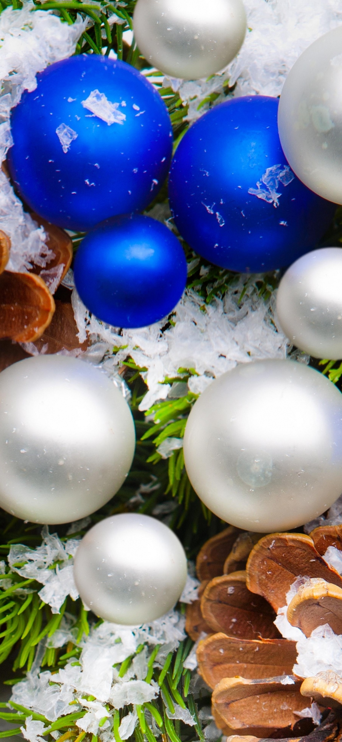 Neujahr, Weihnachtsdekoration, Christmas Ornament, Baum, Weihnachten. Wallpaper in 1125x2436 Resolution