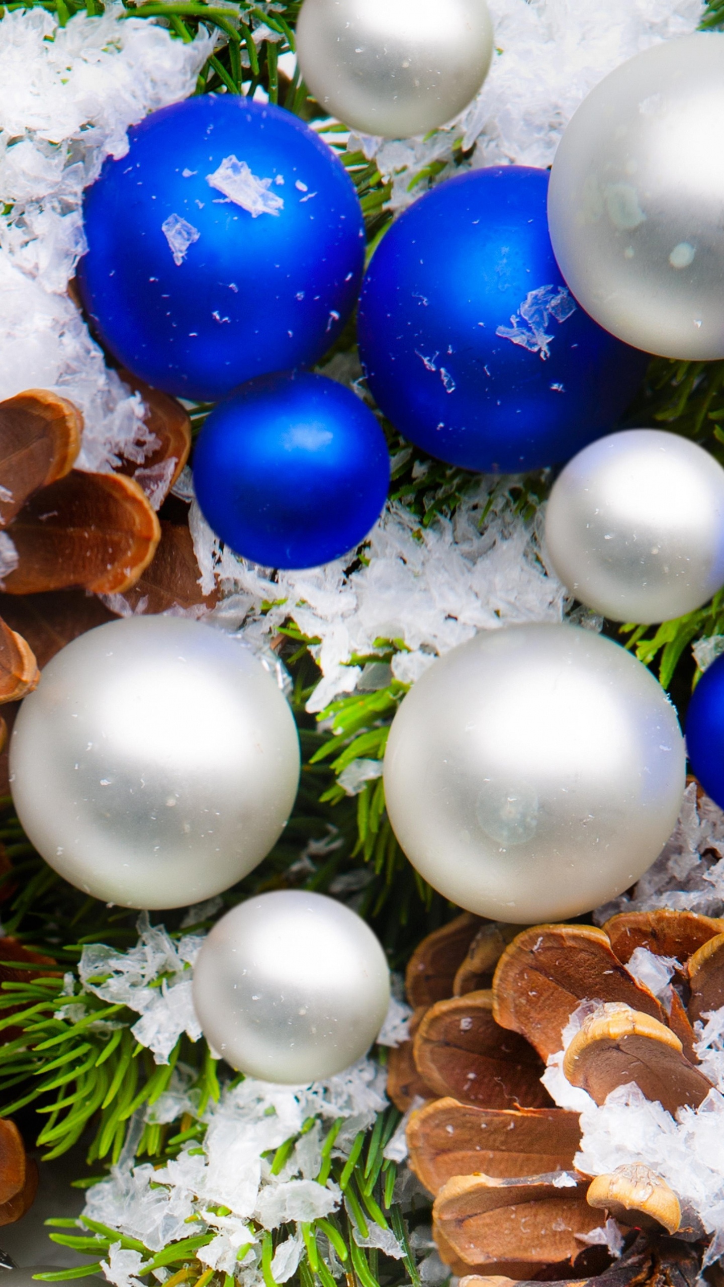 Neujahr, Weihnachtsdekoration, Christmas Ornament, Baum, Weihnachten. Wallpaper in 1440x2560 Resolution