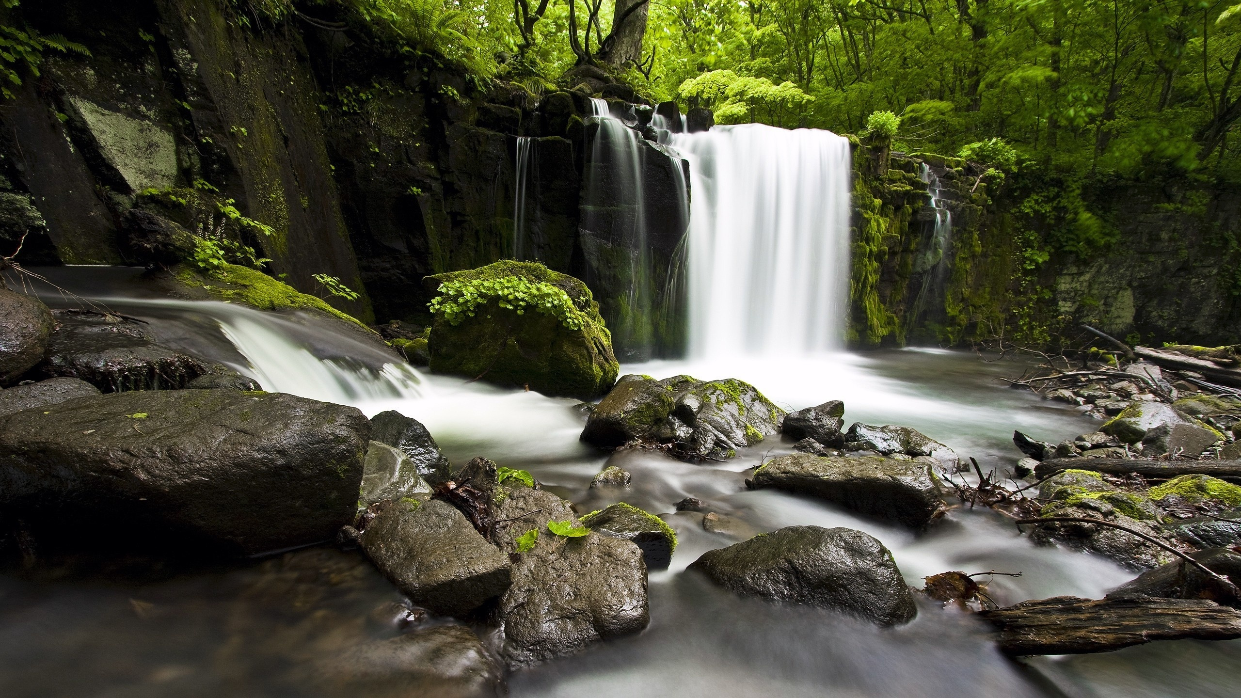 Water Falls on Rocky Shore During Daytime. Wallpaper in 2560x1440 Resolution