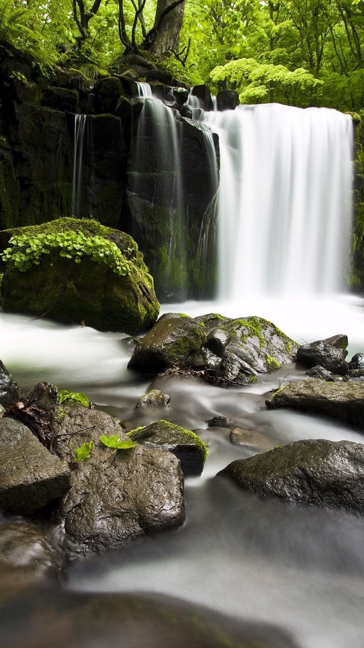 Water Falls on Rocky Shore During Daytime. Wallpaper in 720x1280 Resolution