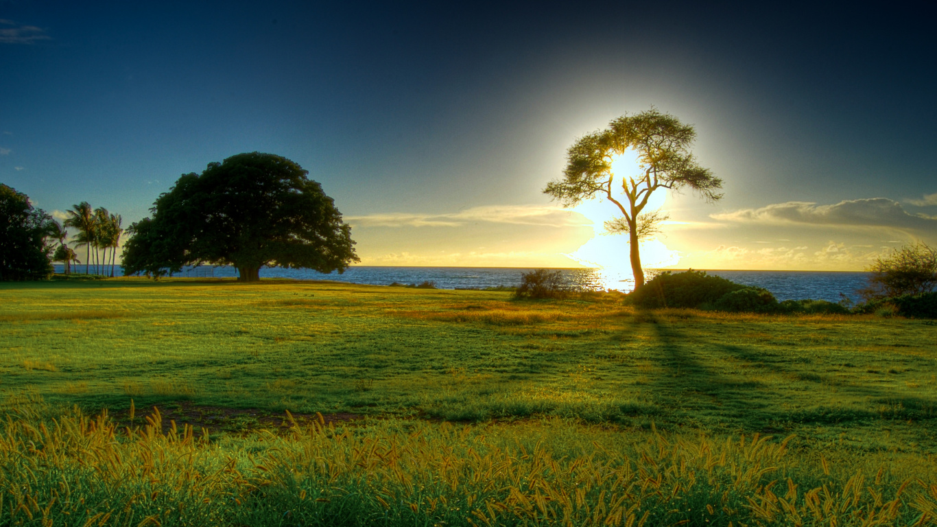 Green Grass Field Near Body of Water During Daytime. Wallpaper in 1366x768 Resolution