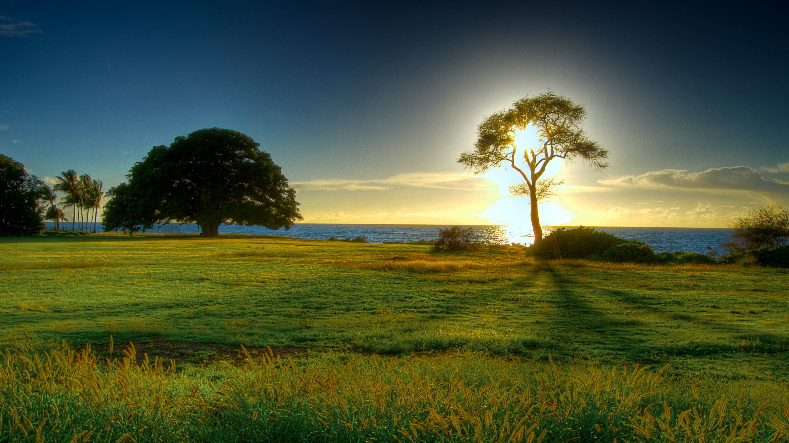 Green Grass Field Near Body of Water During Daytime. Wallpaper in 2560x1440 Resolution