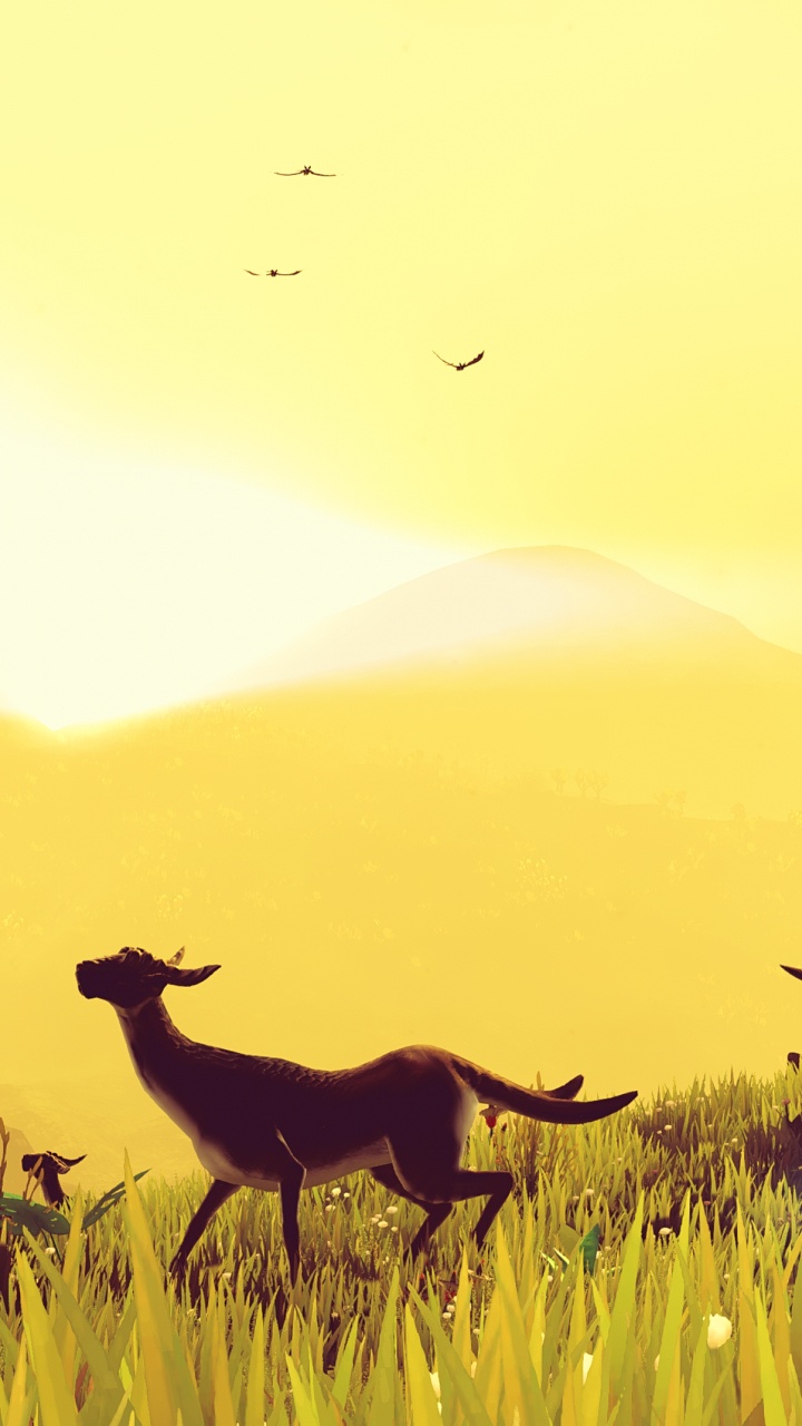 Lara Beach, No Mans Sky, Ecoregion, Nature, People in Nature. Wallpaper in 720x1280 Resolution