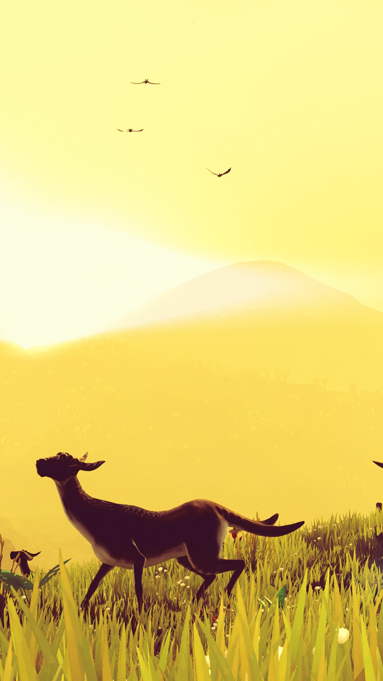 Lara-Strand, No Mans Sky, Ökoregion, Natur, Menschen in Der Natur. Wallpaper in 750x1334 Resolution