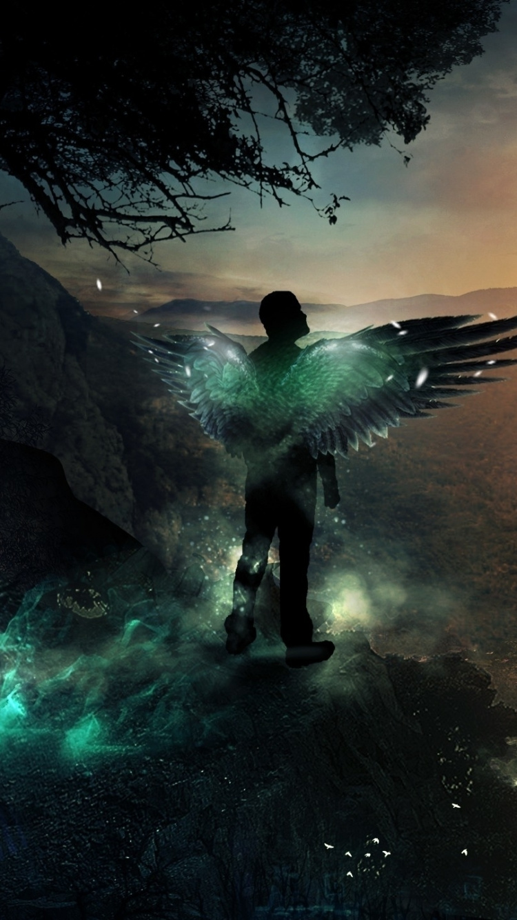 L'homme en Veste Noire Debout Sur Rock Formation. Wallpaper in 750x1334 Resolution