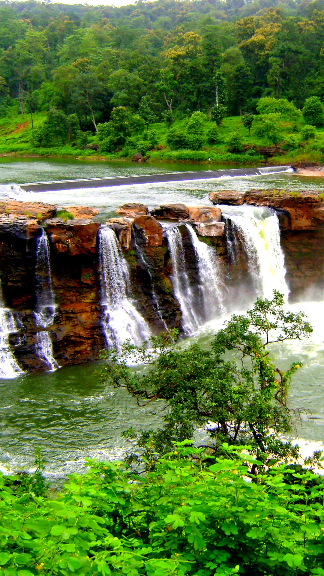 Waterfalls in The Middle of Green Grass Field. Wallpaper in 1080x1920 Resolution