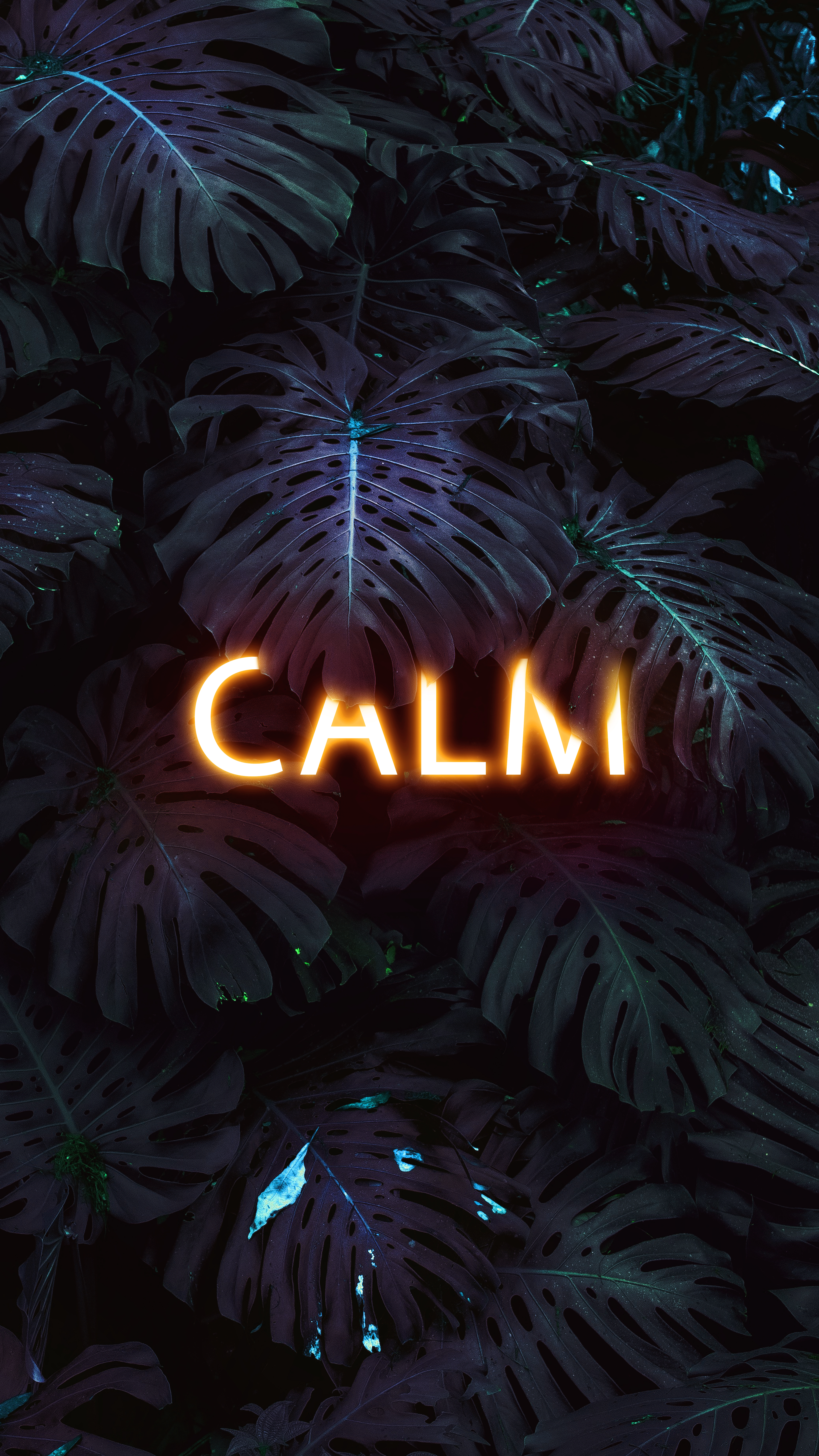 3+ Calm Anime Wallpapers for iPhone and Android by Laurie Davis